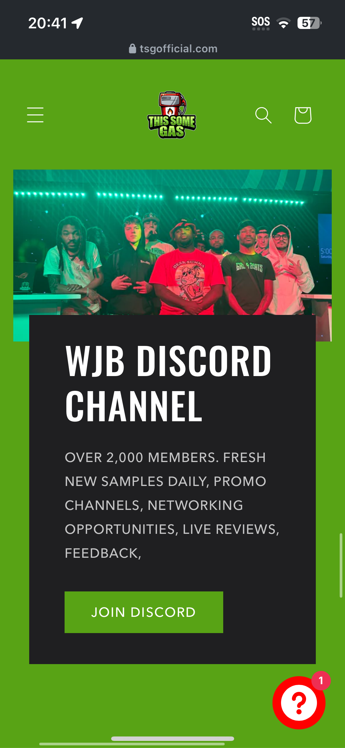 BUILD A WEBSITE (SHOPS, MUSICIANS, & PERSONAL BRANDS)
