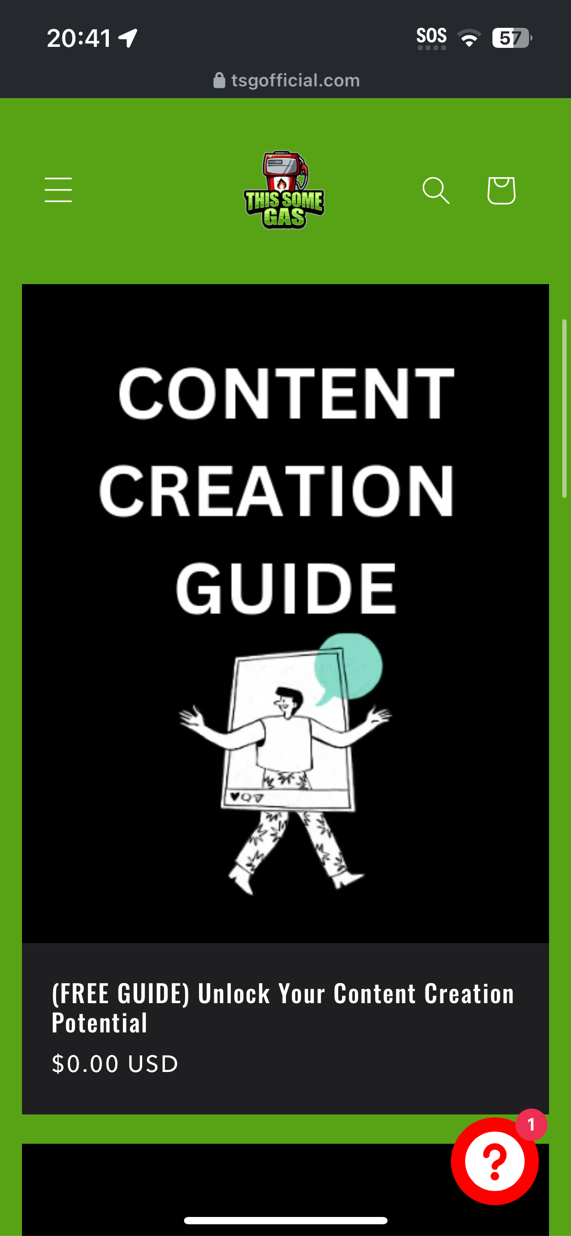 BUILD A WEBSITE (SHOPS, MUSICIANS, & PERSONAL BRANDS)