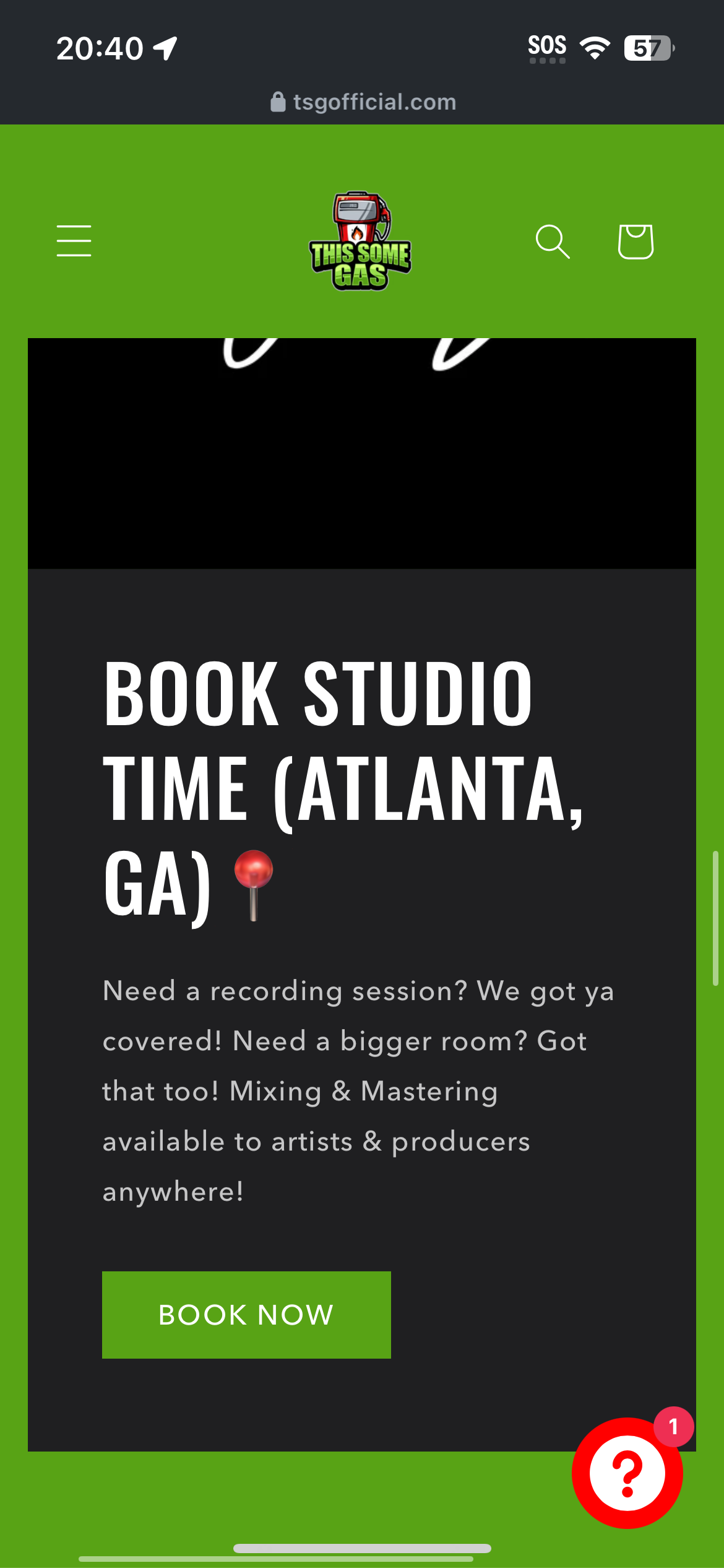 BUILD A WEBSITE (SHOPS, MUSICIANS, & PERSONAL BRANDS)