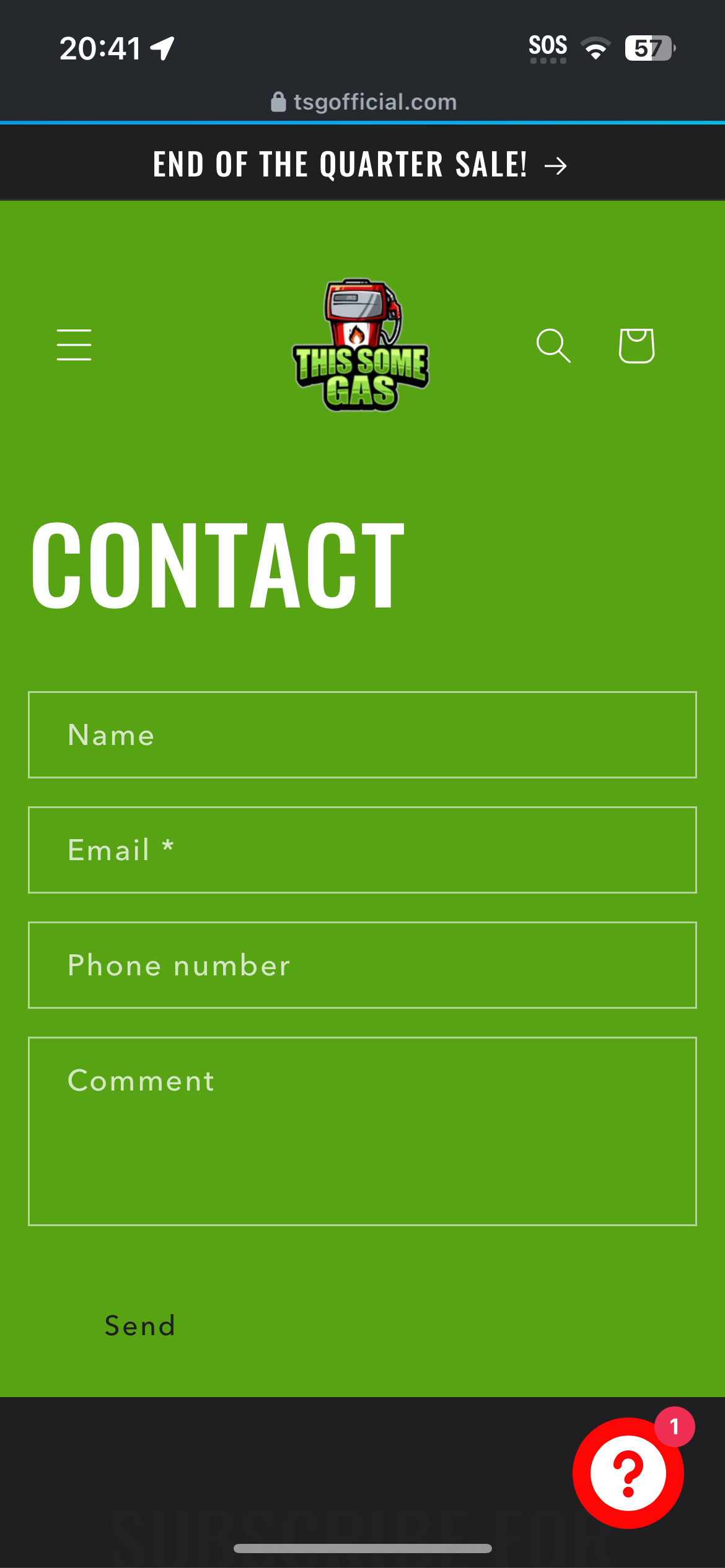 BUILD A WEBSITE (SHOPS, MUSICIANS, & PERSONAL BRANDS)