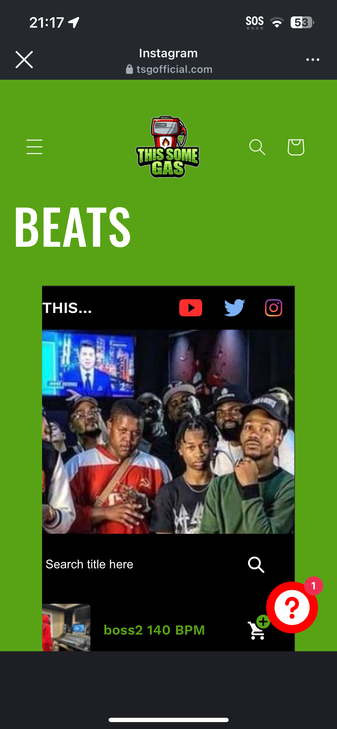 BUILD A WEBSITE (SHOPS, MUSICIANS, & PERSONAL BRANDS)