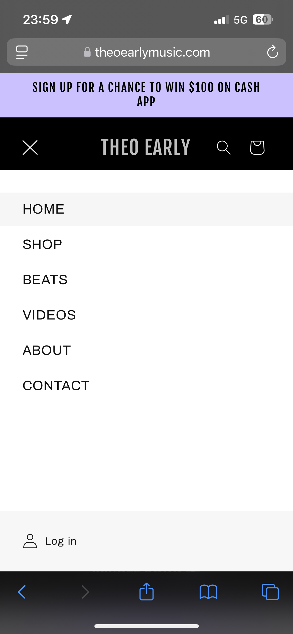 BUILD A WEBSITE (SHOPS, MUSICIANS, & PERSONAL BRANDS)